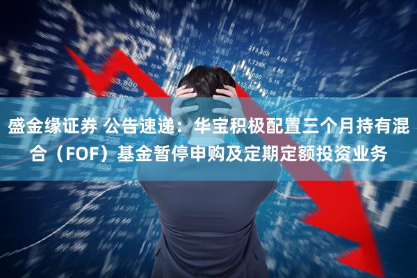 盛金缘证券 公告速递：华宝积极配置三个月持有混合（FOF）基金暂停申购及定期定额投资业务