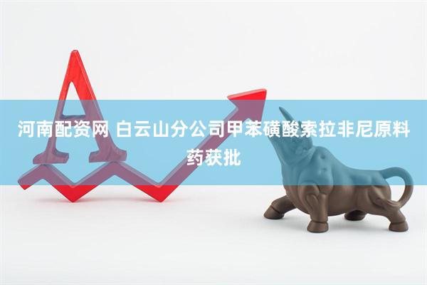 河南配资网 白云山分公司甲苯磺酸索拉非尼原料药获批