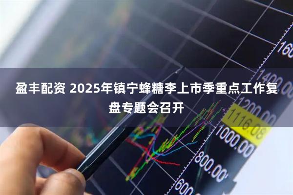 盈丰配资 2025年镇宁蜂糖李上市季重点工作复盘专题会召开