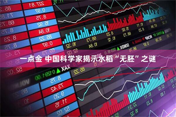 一点金 中国科学家揭示水稻“无胚”之谜
