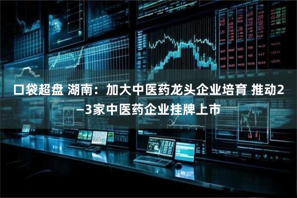 口袋超盘 湖南：加大中医药龙头企业培育 推动2—3家中医药企业挂牌上市