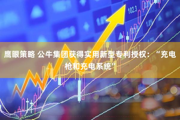 鹰眼策略 公牛集团获得实用新型专利授权：“充电枪和充电系统”