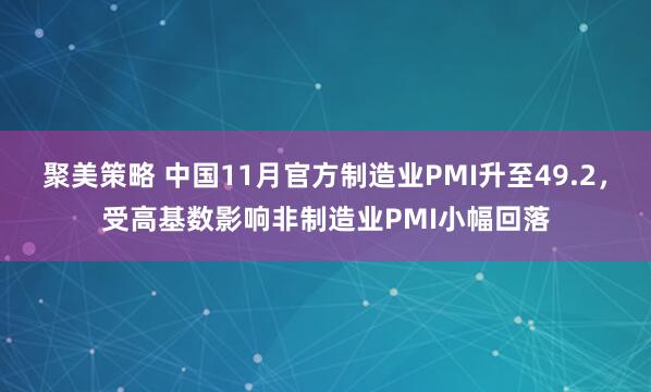 聚美策略 中国11月官方制造业PMI升至49.2，受高基数影响非制造业PMI小幅回落