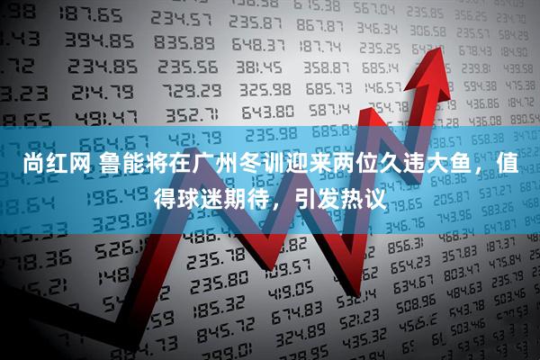 尚红网 鲁能将在广州冬训迎来两位久违大鱼，值得球迷期待，引发热议